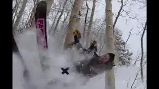 Skier crashes into tree at 2020 #FREESKIERFEST