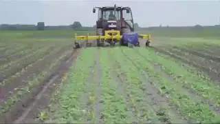 Busa Rotary Row-crop cultivator - front hitched