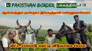 ராஜஸ்தான் maadugal  ஆசிரமம் || Gaushala Hidden Gem || marakka mudiyaatha anubhavangal 😻😻🤗
