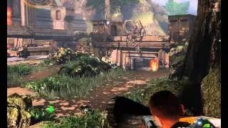 Scourge: Outbreak (i3 (3220) gtx 650 ti)