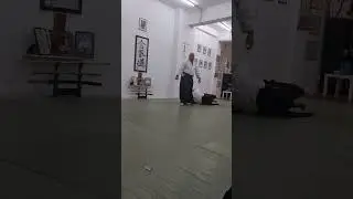 White Rose Aikikai - Athens 2025 - May 2nd - Shane Riley Shihan - Clip 03