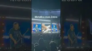 Metallica covered my song Zebra last night in Boorloo/Perth. RESPECT🙌🤘🖤