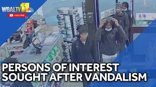 Persons of interest sought after 62 cars vandalized in Federal Hill
