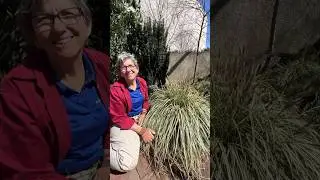 Plant highlight with horticulturist Janet D. 🌱 #Horticulture #BotanicalGarden #PublicGardens