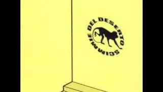 scimmie del deserto - Jimmy
