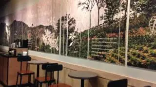 Austin Road/STARBUCKS/HONG KONG/香港36