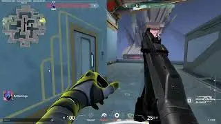 ace omen