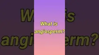 What is angiosperm?| Bio Shotrs| #shorts#biology