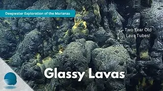 Deepwater Exploration of the Marianas: Glassy Lavas