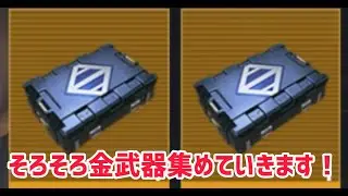 【PUBG MOBILE】そろそろ金武器集めていきます！Chapter30【メトロロイヤル】
