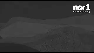Nor1 Introduction