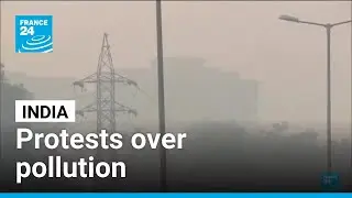 India sees rare protest over pollution: Dozens arrested in New Dehli &bull; FRANCE 24 English