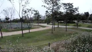FlyCam Naviboard-X6Copter