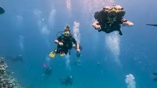 Dive Safari in Egypt 2023 (North route)