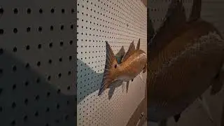 Redfish Taxidermy Alternative Wall Mount #fish #fishing
