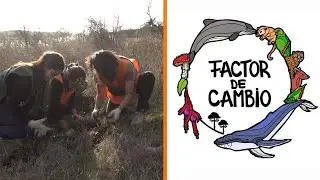 Cultiva: Reforestando el Planeta | Factor de Cambio