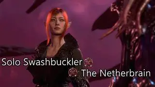 Solo Swashbuckler The Netherbrain Part 32