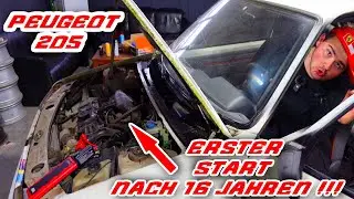 WIRD DER PEUGEOT 205 MOTOR ANSPRINGEN !!! + DAS KOMPLETTE SERVICE PAKET // BREMSEN, RADLAGER ,ÖL //