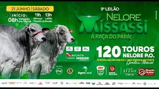 8&ordm; Leil&atilde;o Presencial Nelore Missassi