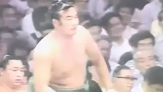Sumo! 