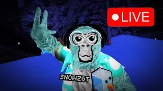 LIVE PLAYING ONLY UP AND MORE