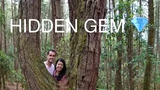 A place you should visit if you are in Medellin - Colombia 🇨🇴🌱