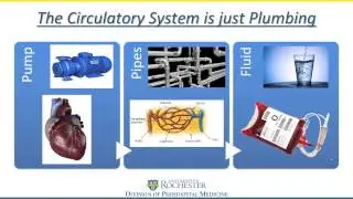 Sepsis & Distributive Shock Final