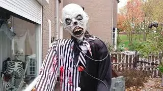 Halloween 2020 yard display day time