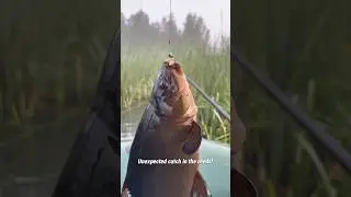 Я только опустил приманку&hellip;