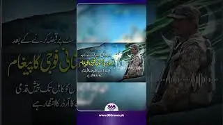 Message from a Brave Pakistani Soldier! | 365 News