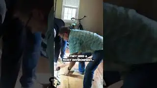 WORST Termite Damage You'll EVER See...