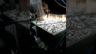 p&ecirc;che de sardines a Saket bejaia 2017##ug09##
