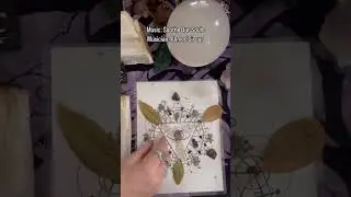 Creating a Protection Crystal & Herb Grid