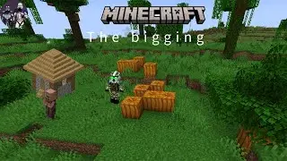 10 Subscriber Special  my Frist Mine Craft Video