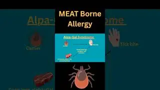 Meat Borne Allergy #meat #allergy #viralshortvideo