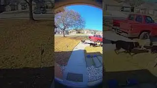 The SECRET to Capturing PLAYFUL Excitement in 5 Seconds