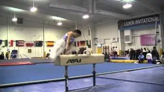 Arthur Dalaloyan Артур Далалоян (RUS) PH - 2013 Valeri Liukin Invitational