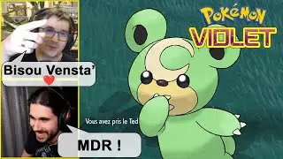 SHINY REACTION - Random Teddiursa avec LoupiRex (Pok&eacute;mon Violet)