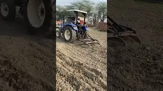 Arv Farmer&rsquo;s pride