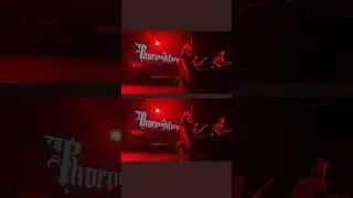 THOROUGHFARE AT THE MUSIC FARM 1 #shorts #thoroughfare #MusicFarm