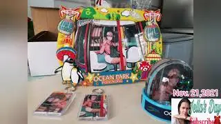 cable car ride souvenirs / Hong kong ocean park memories