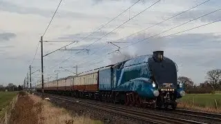 4464 'Bittern' streaks past Fenwick Common with 'The Capital Streak'