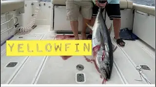 A kid catches his biggest fish ever!