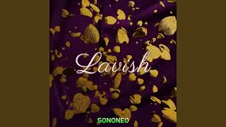 Lavish (Instrumental)