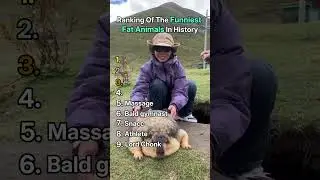 Ranking Of The Funniest Fat Animals In History