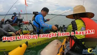 He caught a 27kg stingray from his kayak!! Madness!! - Kayak Fishing Singapore