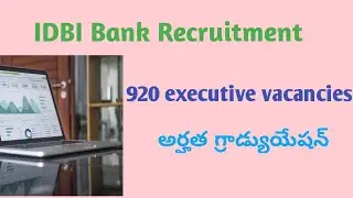 IDBI Bank Executive vacancies qualification degree