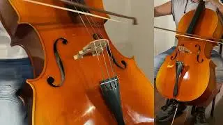 Romanian Cello roughly 1999