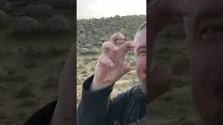 Unreal Stone Spheres Found in Kazakhstan!!! Mind-blowing! #kazakhstan #nature #aktau