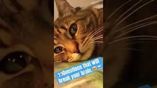 Unsolved Mysteries of the Universe EP003 #funnycats #cat #meme #funnyvideo #viral